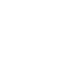 FX